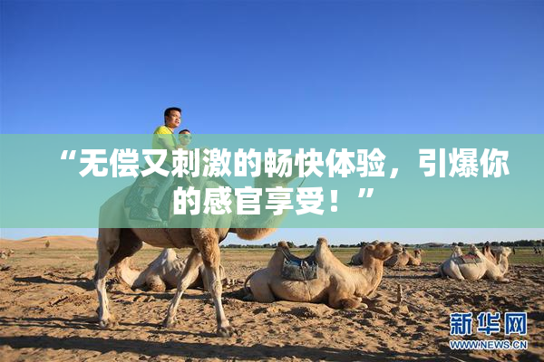 “无偿又刺激的畅快体验，引爆你的感官享受！”