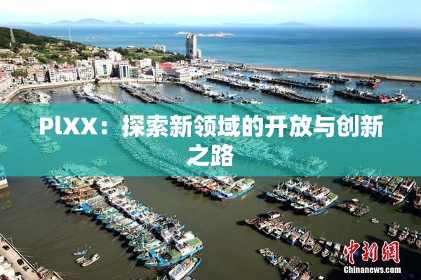 PlXX：探索新领域的开放与创新之路