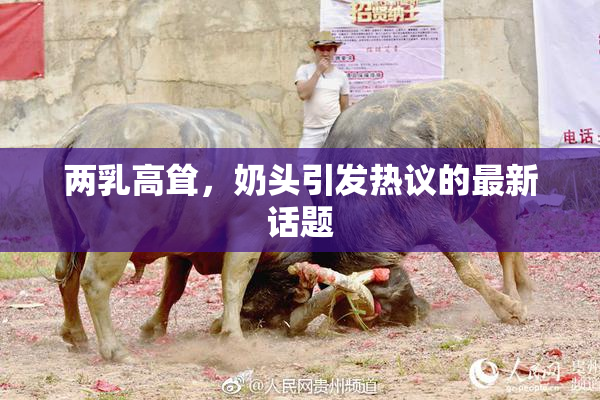 两乳高耸，奶头引发热议的最新话题