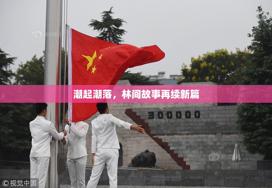 潮起潮落，林间故事再续新篇