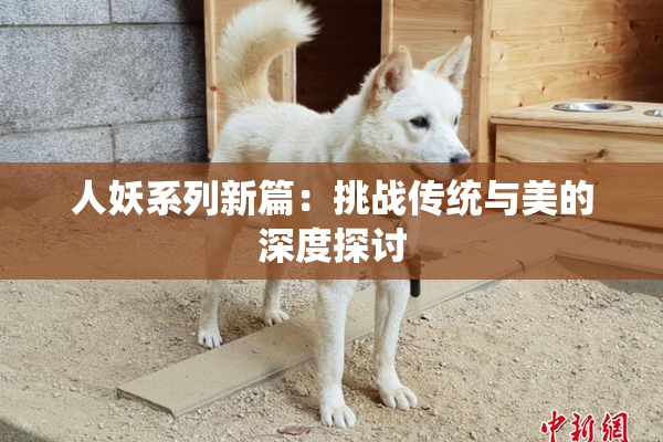 人妖系列新篇：挑战传统与美的深度探讨