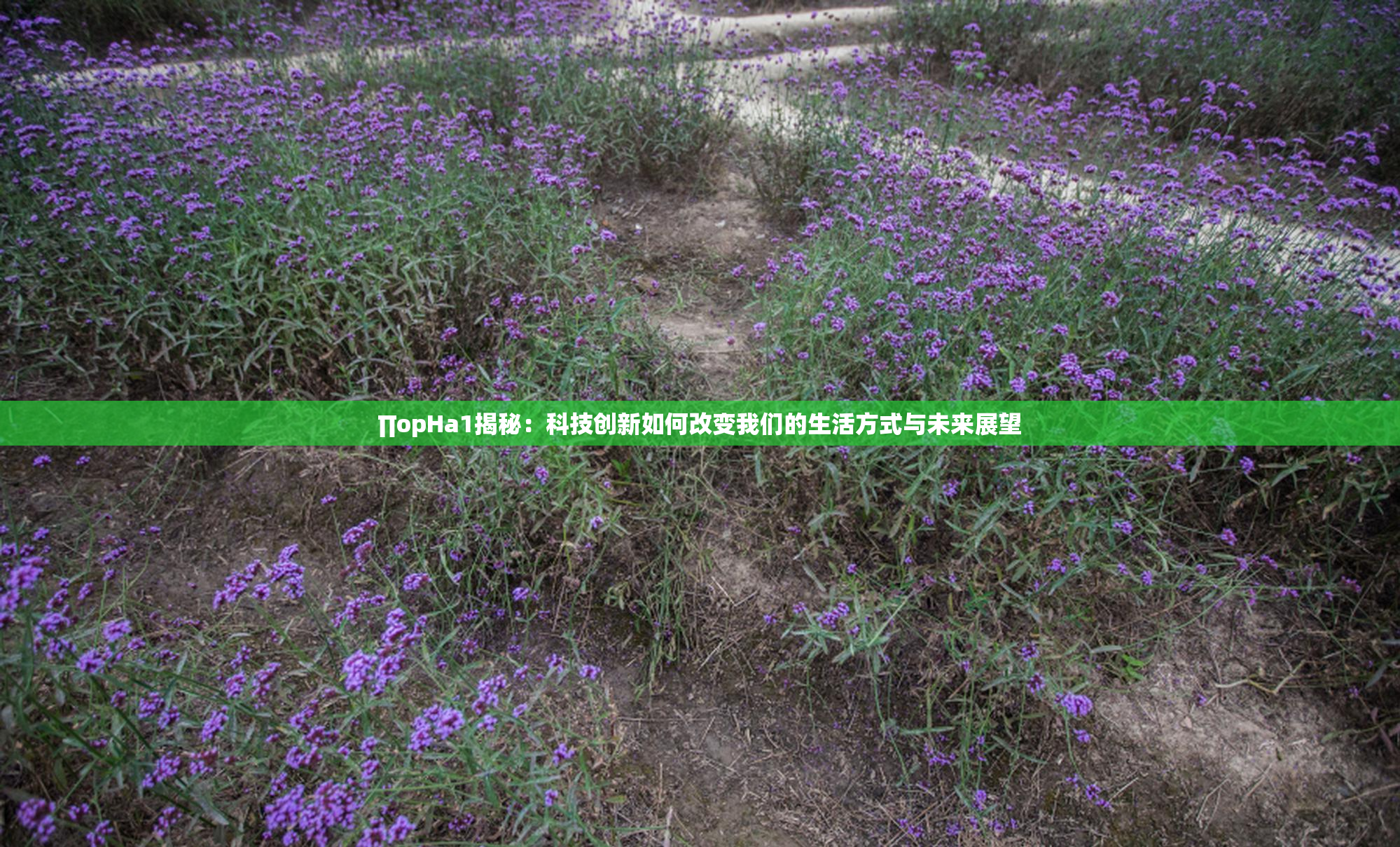 ∏opHa1揭秘：科技创新如何改变我们的生活方式与未来展望