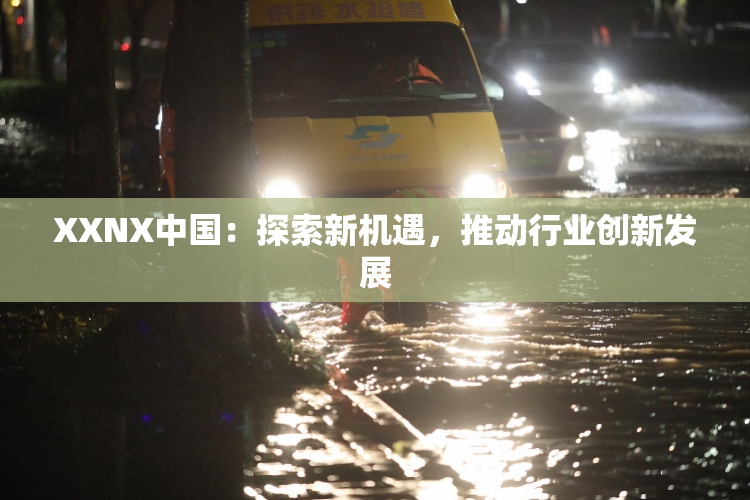 XXNX中国：探索新机遇，推动行业创新发展