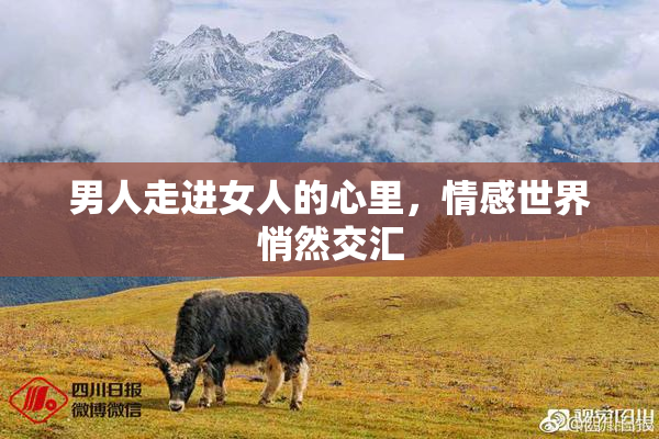 男人走进女人的心里，情感世界悄然交汇