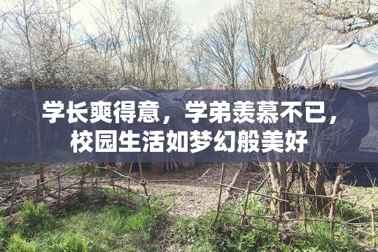 学长爽得意，学弟羡慕不已，校园生活如梦幻般美好