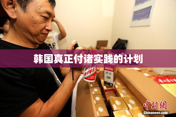 韩国真正付诸实践的计划