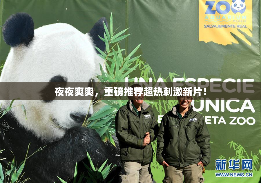 夜夜爽爽，重磅推荐超热刺激新片！