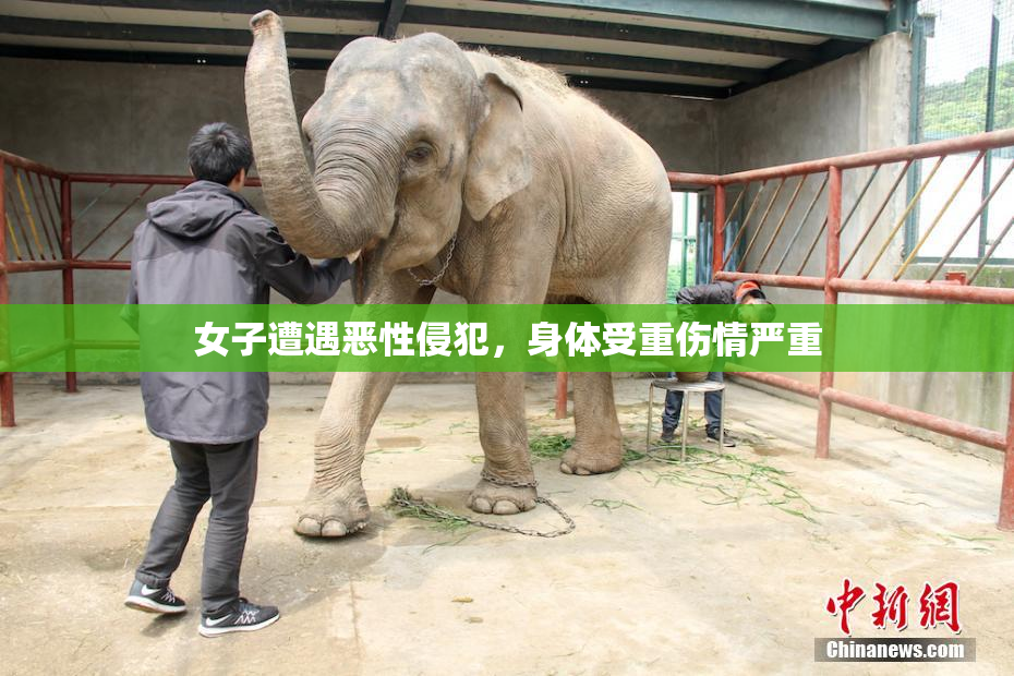 女子遭遇恶性侵犯，身体受重伤情严重