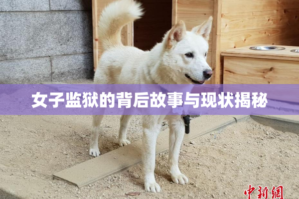 女子监狱的背后故事与现状揭秘