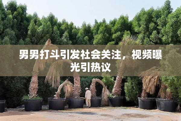 男男打斗引发社会关注，视频曝光引热议