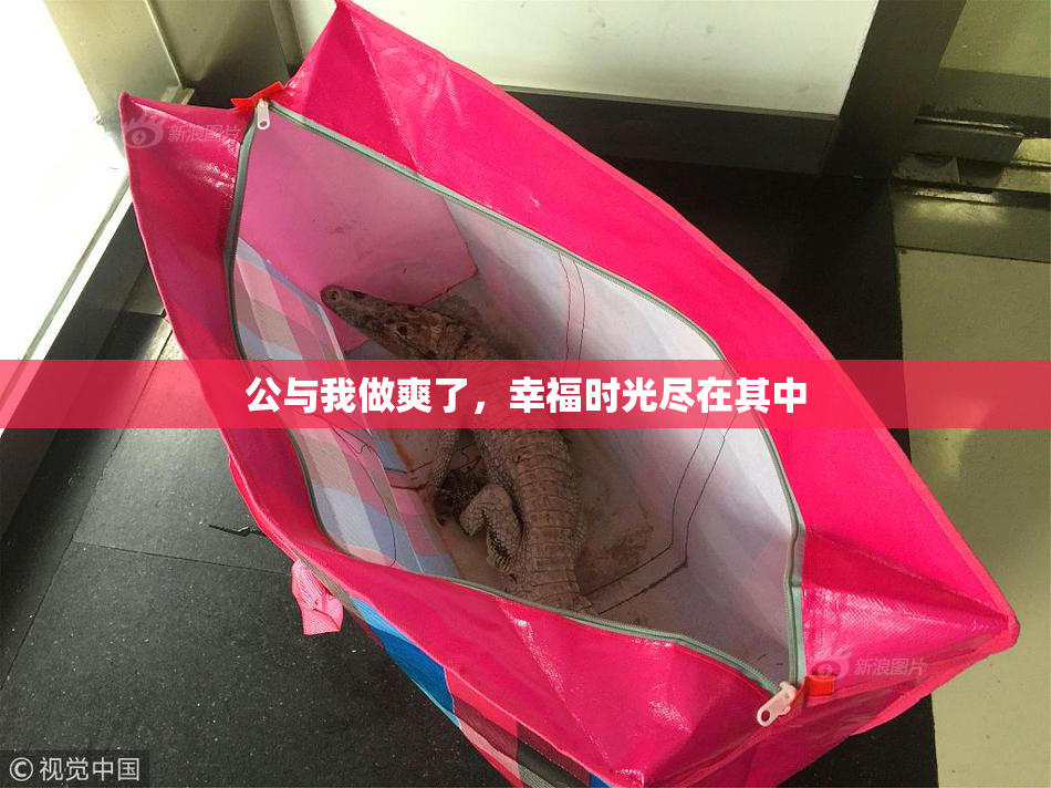 公与我做爽了，幸福时光尽在其中