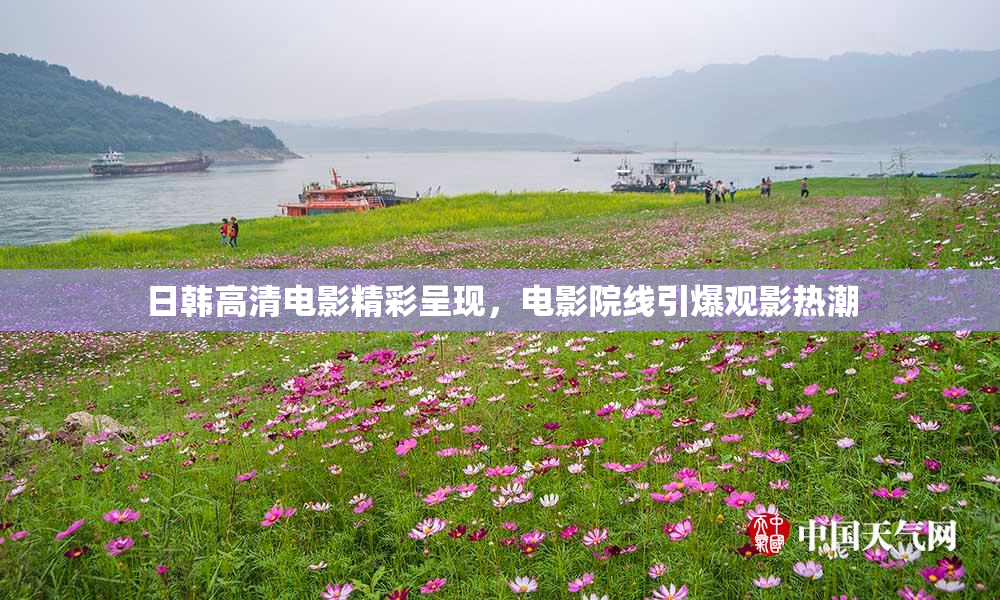 日韩高清电影精彩呈现，电影院线引爆观影热潮