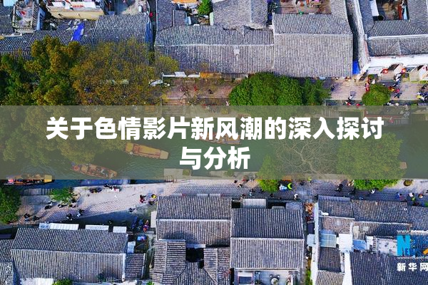 关于色情影片新风潮的深入探讨与分析
