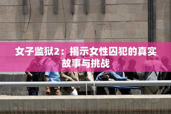 女子监狱2：揭示女性囚犯的真实故事与挑战