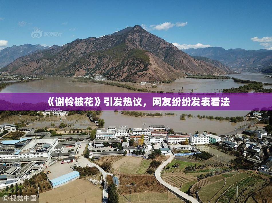 《谢怜被花》引发热议，网友纷纷发表看法