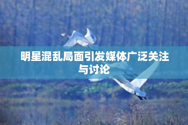 明星混乱局面引发媒体广泛关注与讨论