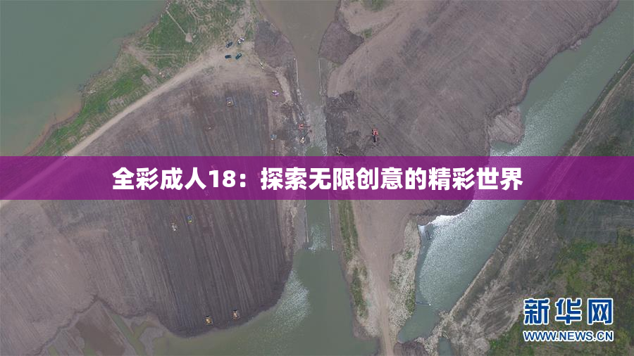 全彩成人18：探索无限创意的精彩世界