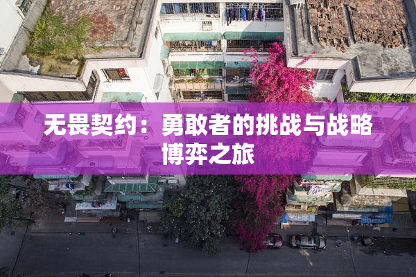 无畏契约：勇敢者的挑战与战略博弈之旅