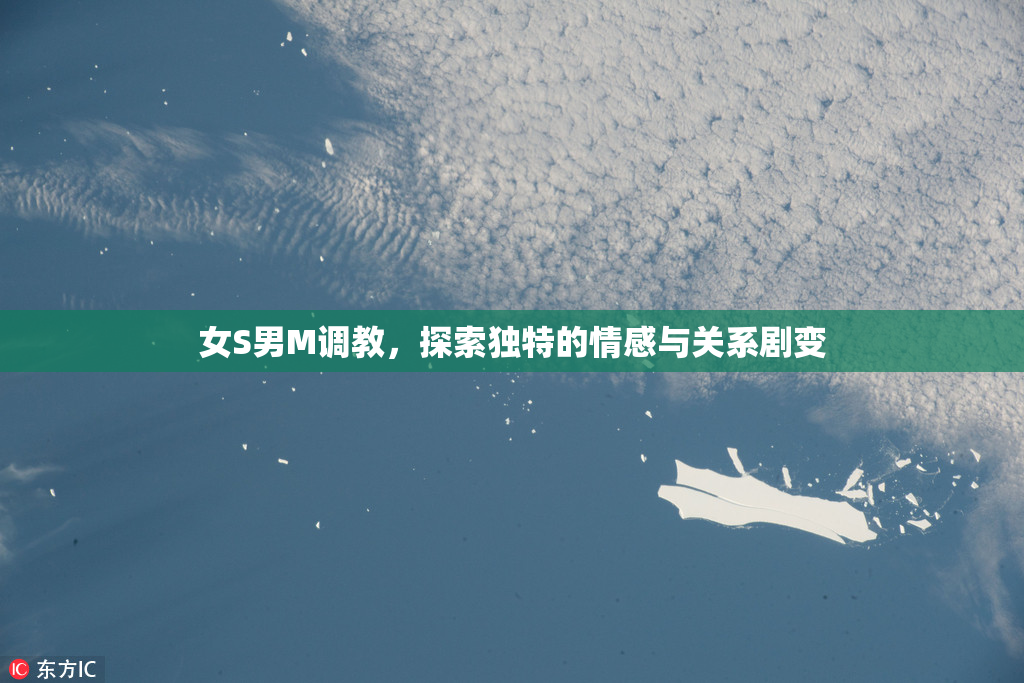 女S男M调教，探索独特的情感与关系剧变