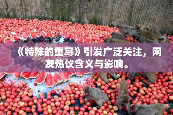 《特殊的重写》引发广泛关注，网友热议含义与影响。