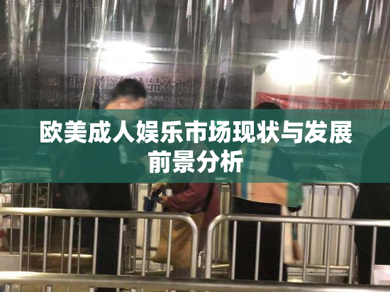 欧美成人娱乐市场现状与发展前景分析