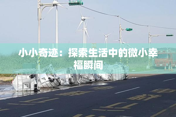 小小奇迹：探索生活中的微小幸福瞬间