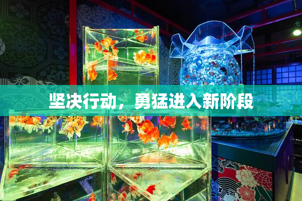 坚决行动，勇猛进入新阶段