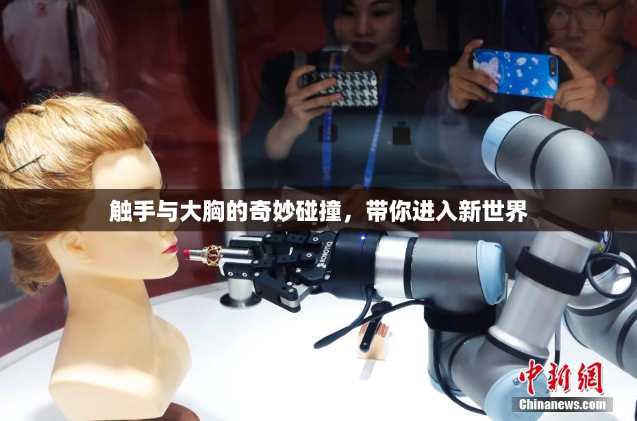 触手与大胸的奇妙碰撞，带你进入新世界