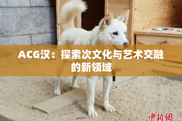 ACG汉：探索次文化与艺术交融的新领域