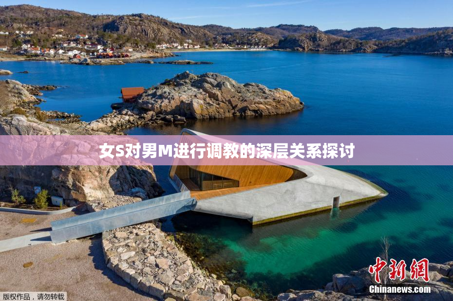 女S对男M进行调教的深层关系探讨