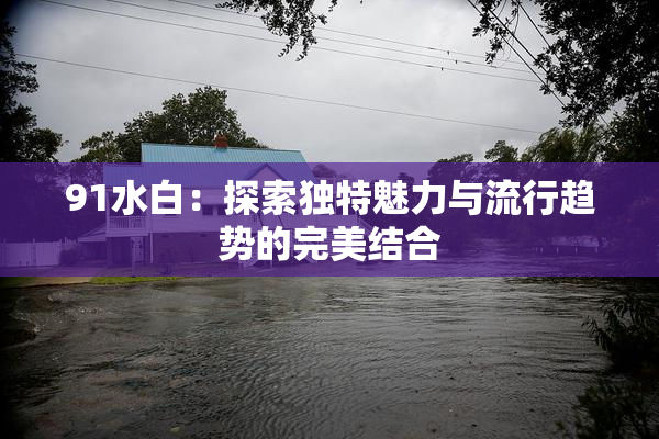 91水白：探索独特魅力与流行趋势的完美结合