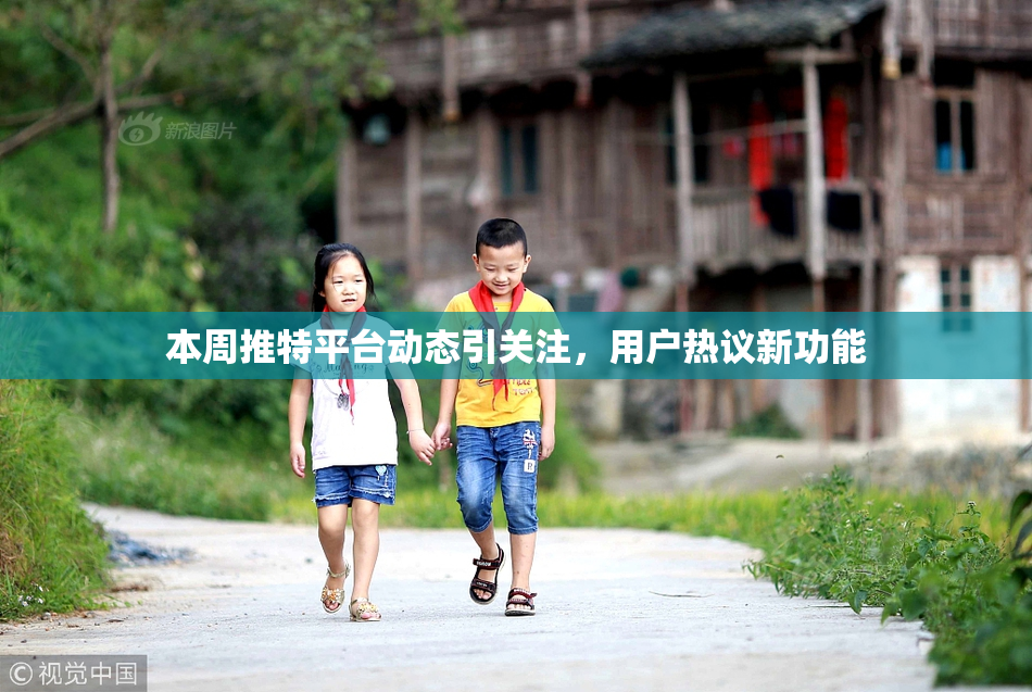 本周推特平台动态引关注，用户热议新功能