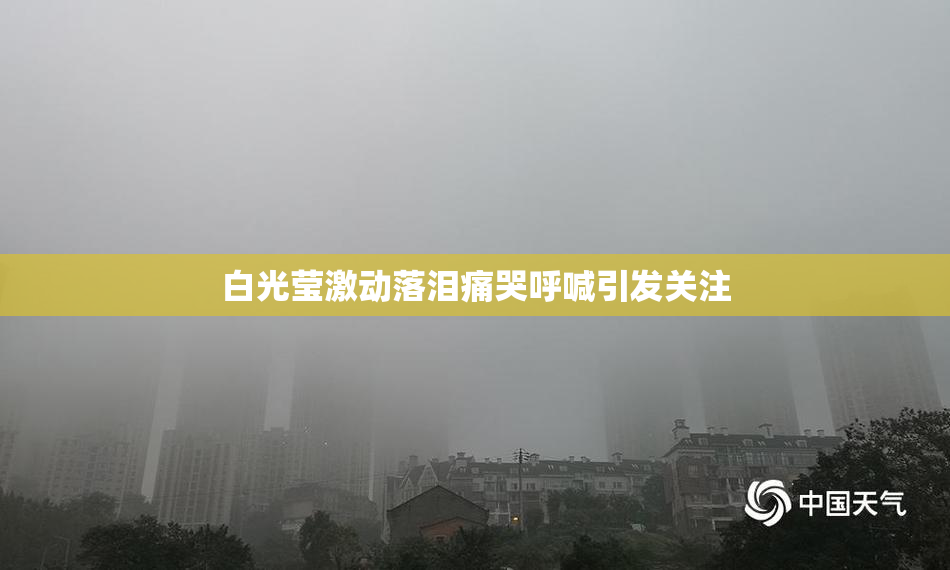 白光莹激动落泪痛哭呼喊引发关注