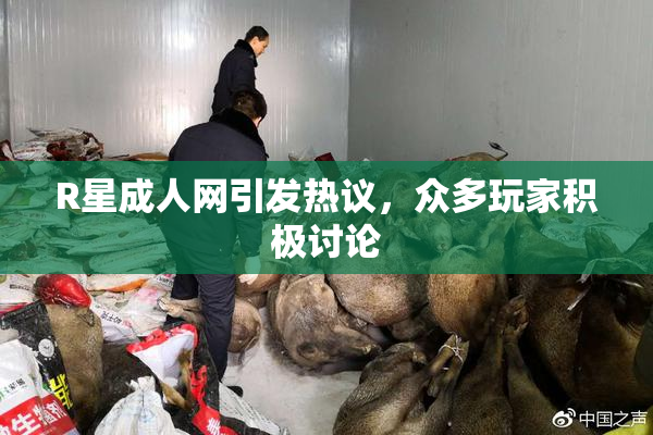 R星成人网引发热议，众多玩家积极讨论