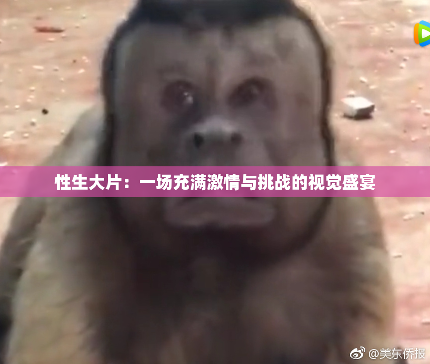 性生大片：一场充满激情与挑战的视觉盛宴