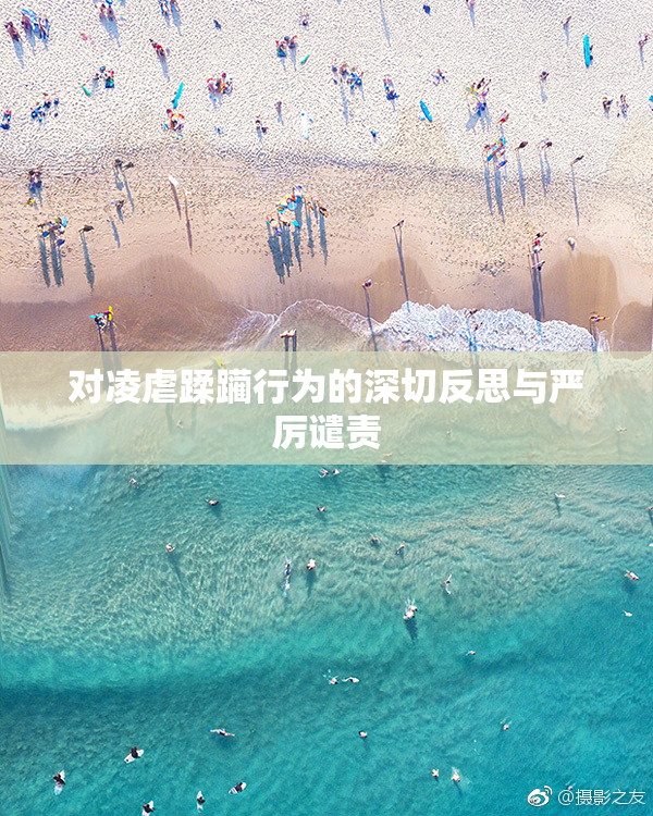 对凌虐蹂躏行为的深切反思与严厉谴责