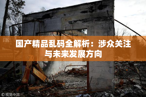 国产精品乱码全解析：涉众关注与未来发展方向