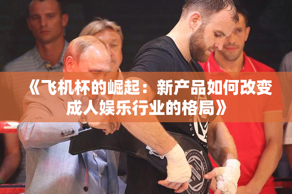 《飞机杯的崛起：新产品如何改变成人娱乐行业的格局》
