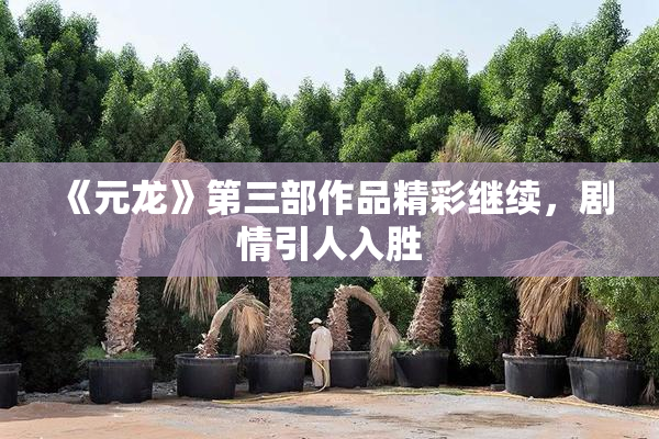 《元龙》第三部作品精彩继续，剧情引人入胜
