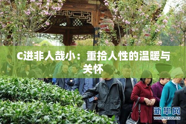 C进非人哉小：重拾人性的温暖与关怀