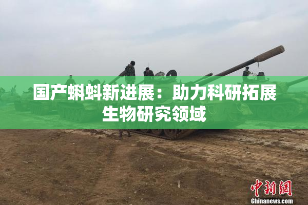 国产蝌蚪新进展：助力科研拓展生物研究领域