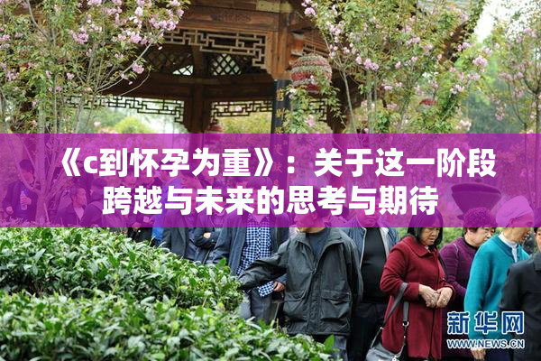 《c到怀孕为重》：关于这一阶段跨越与未来的思考与期待