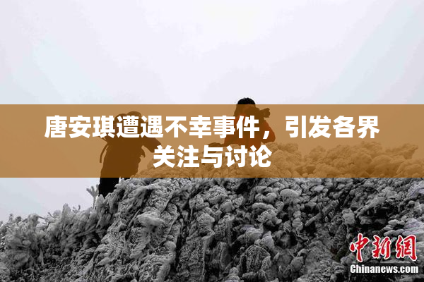 唐安琪遭遇不幸事件，引发各界关注与讨论