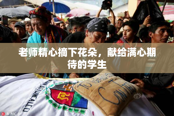 老师精心摘下花朵，献给满心期待的学生