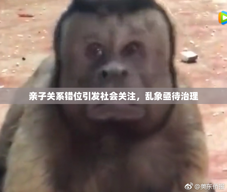 亲子关系错位引发社会关注，乱象亟待治理