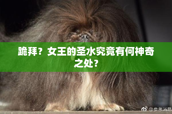 跪拜？女王的圣水究竟有何神奇之处？