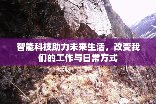 智能科技助力未来生活，改变我们的工作与日常方式