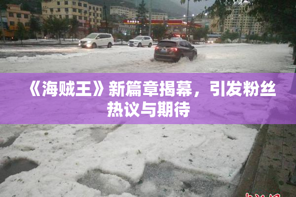 《海贼王》新篇章揭幕，引发粉丝热议与期待