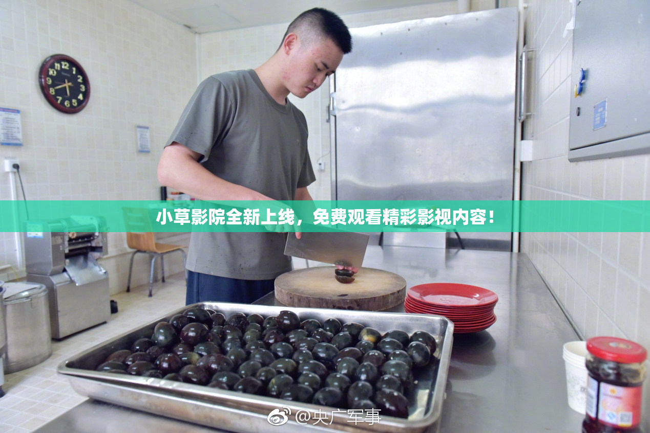 小草影院全新上线，免费观看精彩影视内容！