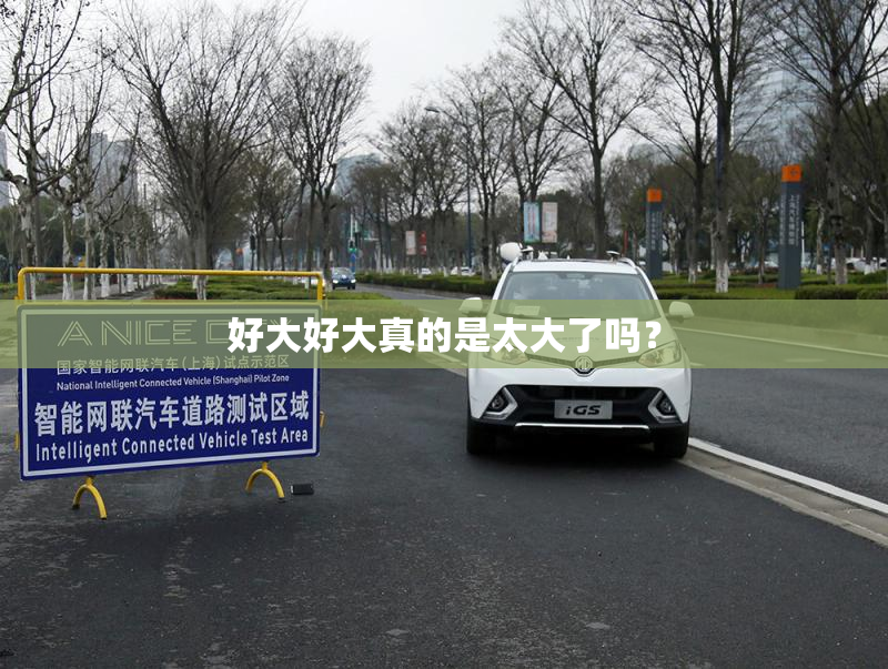 好大好大真的是太大了吗？